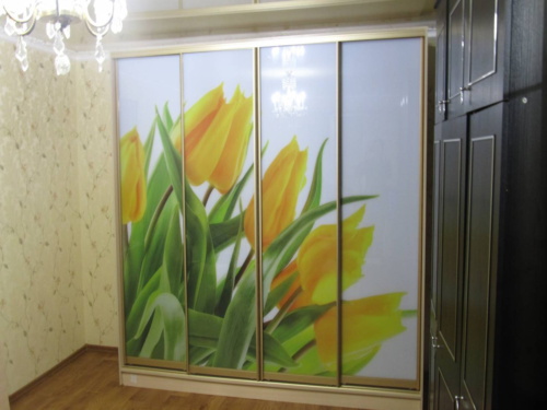 Шкаф купе с фотопечатью корпусный