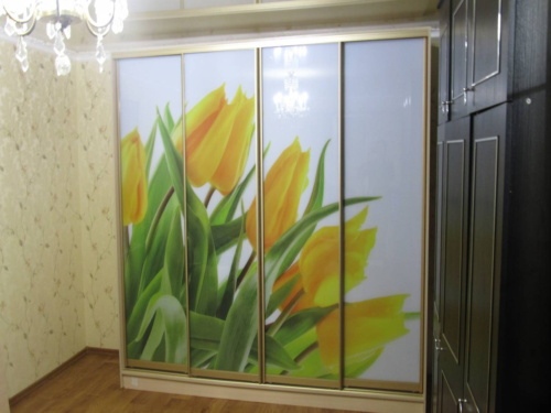 Шкаф купе с фотопечатью корпусный